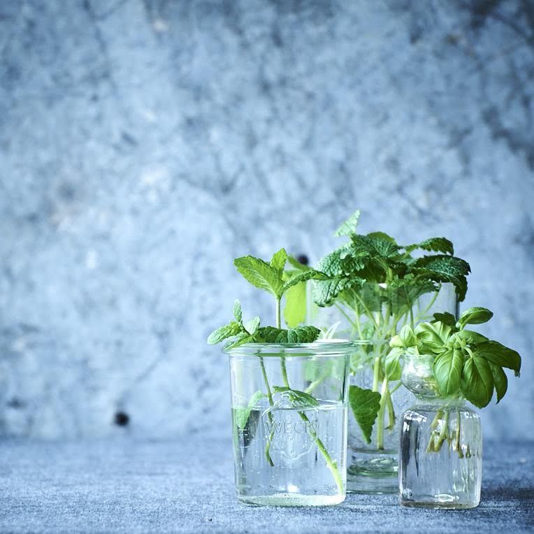 small_herbs_in_glass_vases